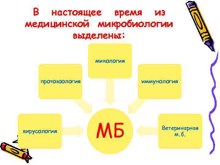 В настоящее время из медицинской микробиологии выделены: микология протозоология вирусология иммунология МБ Ветеринарная м.