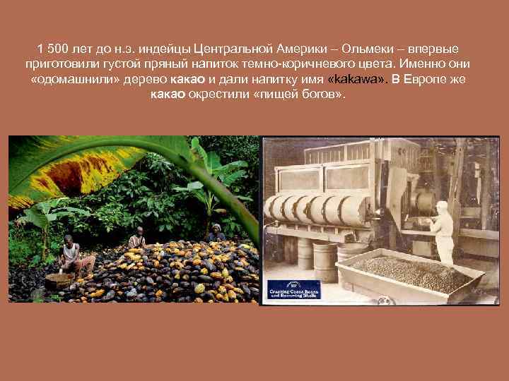 1 500 лет до н. э. индейцы Центральной Америки – Ольмеки – впервые приготовили