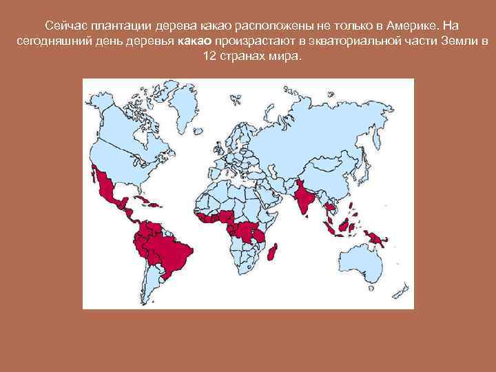 Сейчас плантации дерева какао расположены не только в Америке. На сегодняшний день деревья какао