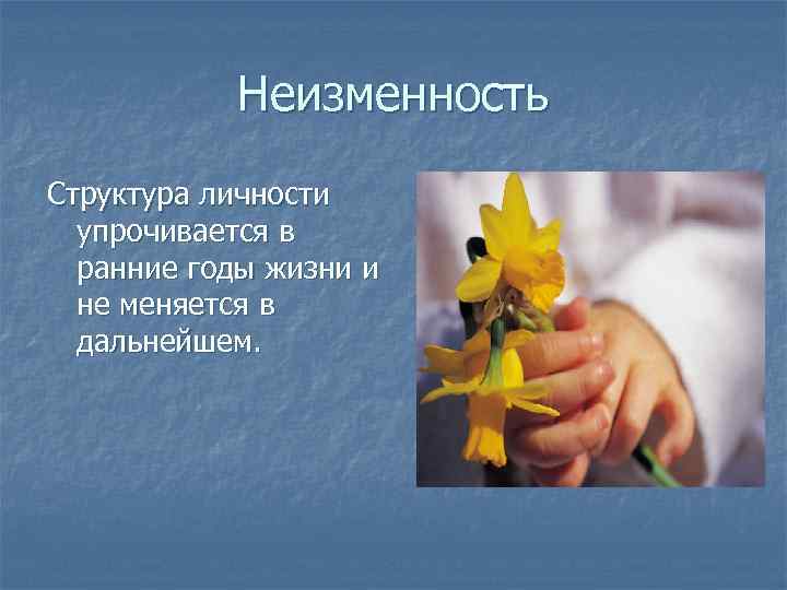 Неизменность Структура личности упрочивается в ранние годы жизни и не меняется в дальнейшем. 
