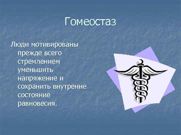 Гомеостаз Люди мотивированы прежде всего стремлением уменьшить напряжение и сохранить внутренне состояние равновесия. 