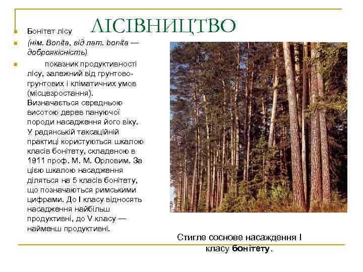 n n n ЛІСІВНИЦТВО Бонітет лісу (нім. Bonita, від лат. bonita — доброякісність) показник