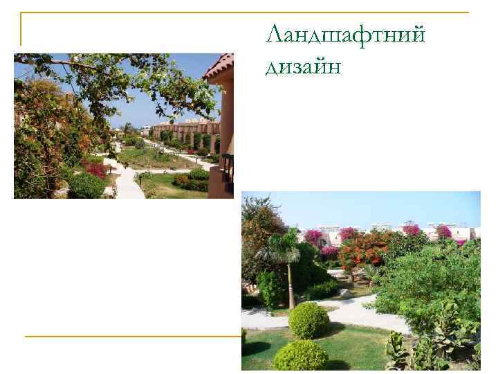 Ландшафтний дизайн 