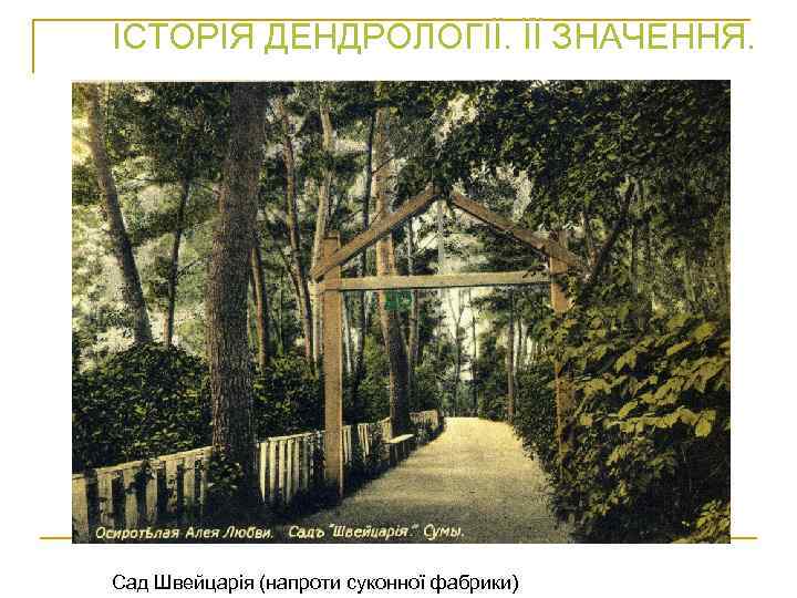 ІСТОРІЯ ДЕНДРОЛОГІЇ. ЇЇ ЗНАЧЕННЯ. ДО Сад Швейцарія (напроти суконної фабрики) 