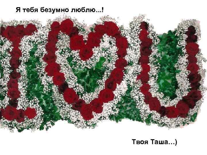 Я тебя безумно люблю. . . ! Твоя Таша…) 