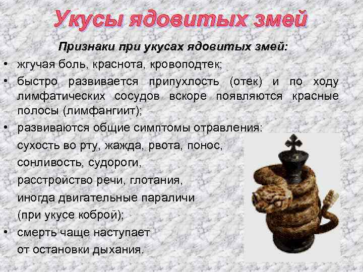 Укусы ядовитых змей • • Признаки при укусах ядовитых змей: жгучая боль, краснота, кровоподтек;