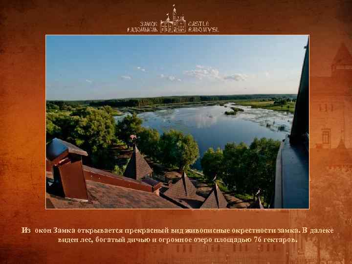 Из окон Замка открывается прекрасный вид живописные окрестности замка. В далеке виден лес, богатый