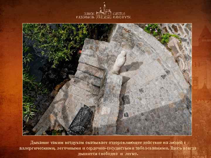 Дыхание таким воздухом оказывает оздоровляющее действие на людей с аллергическими, легочными и сердечно-сосудистыми заболеваниями.