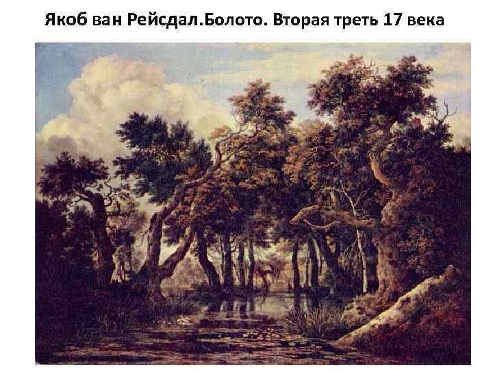 Якоб ван Рейсдал. Болото. Вторая треть 17 века 