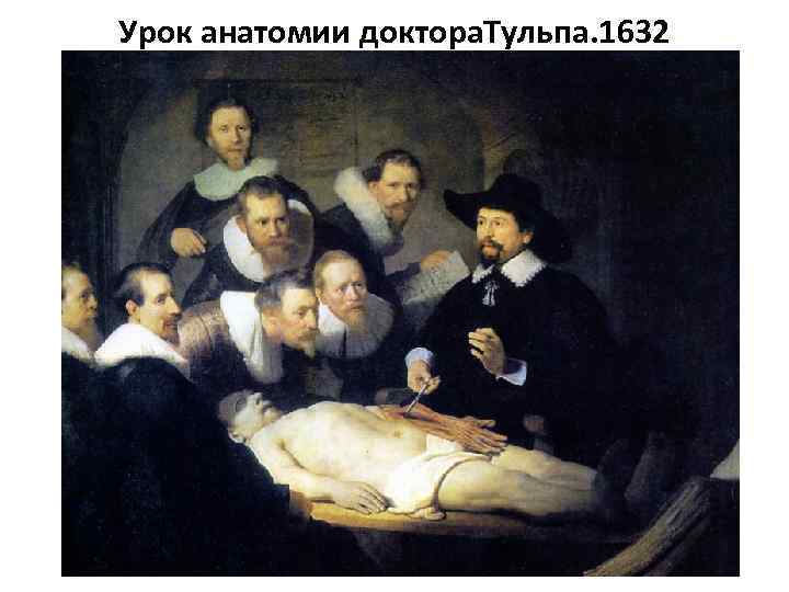 Урок анатомии доктора. Тульпа. 1632 