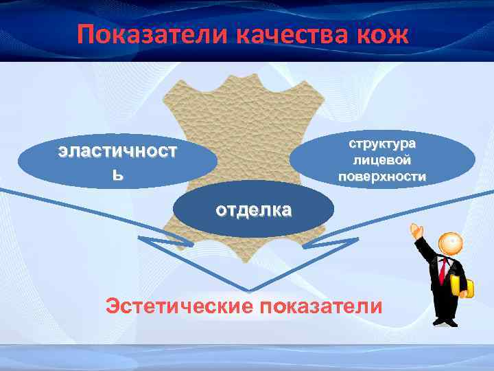 Показатели качества кож структура лицевой поверхности эластичност ь отделка Эстетические показатели 