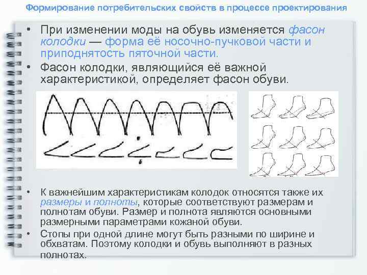 Формирование потребительских свойств в процессе проектирования • При изменении моды на обувь изменяется фасон