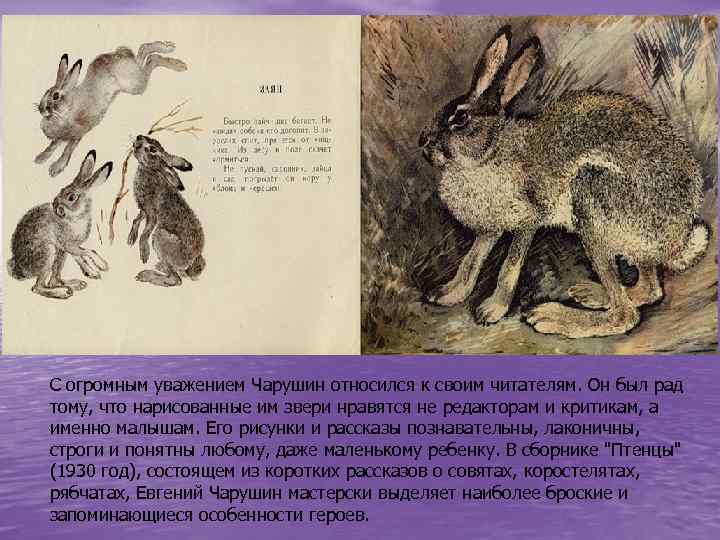 С огромным уважением Чарушин относился к своим читателям. Он был рад тому, что нарисованные