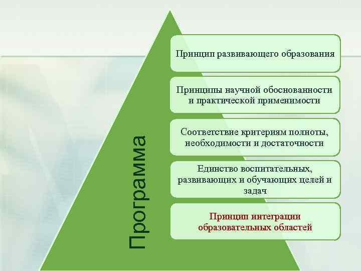 Принцип развивающего образования Программа Принципы научной обоснованности и практической применимости Соответствие критериям полноты, необходимости