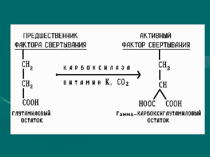  Рисунок 1. 