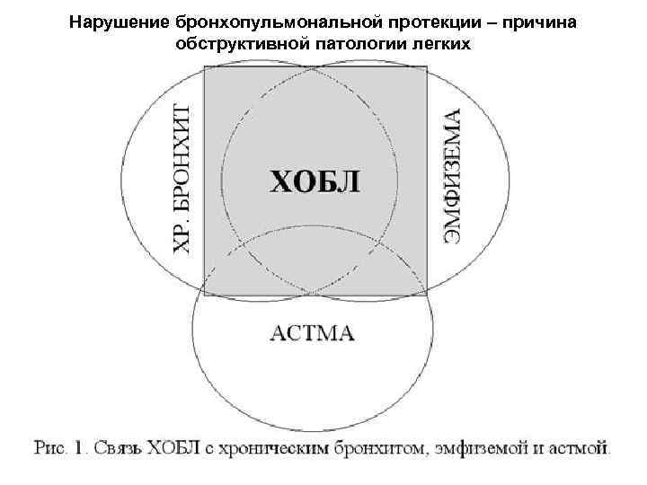 Нарушение бронхопульмональной протекции – причина обструктивной патологии легких 
