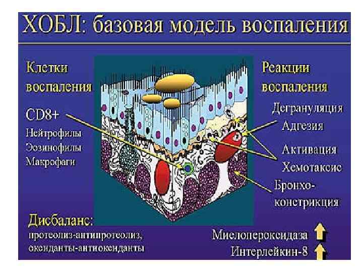 Патофизиология внешнего дыхания презентация