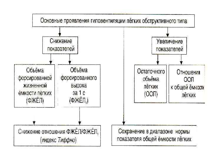 Патофизиология внешнего дыхания презентация