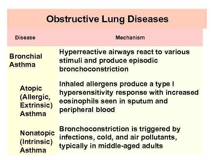 Obstructive Lung Diseases Disease Bronchial Asthma Mechanism Hyperreactive airways react to various stimuli and