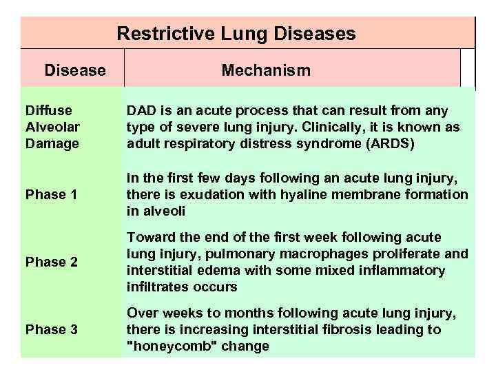 Restrictive Lung Diseases Disease Mechanism Diffuse Alveolar Damage DAD is an acute process that