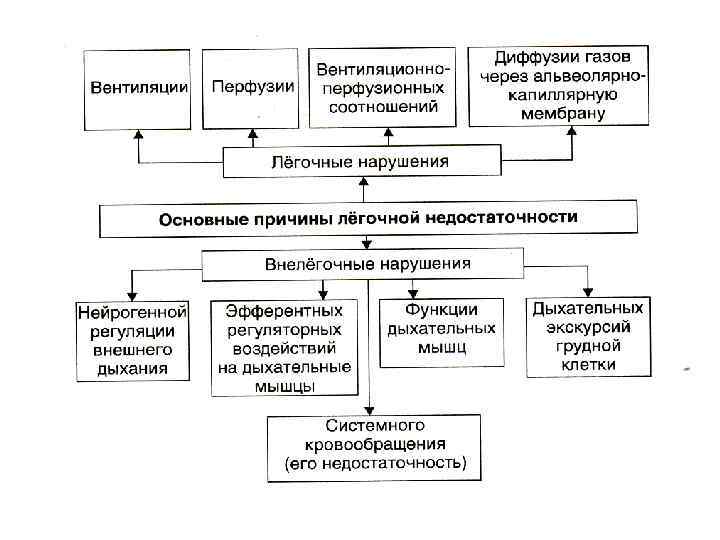 Патофизиология внешнего дыхания презентация