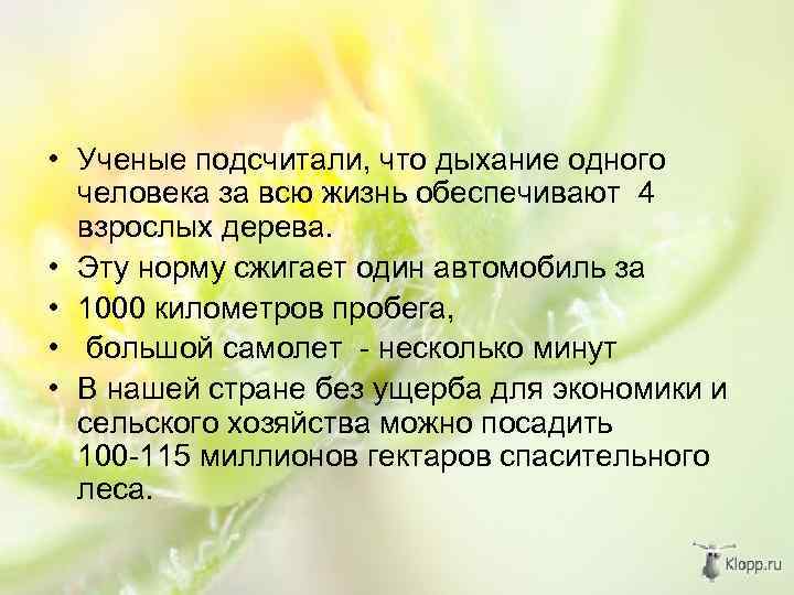  • Ученые подсчитали, что дыхание одного человека за всю жизнь обеспечивают 4 взрослых