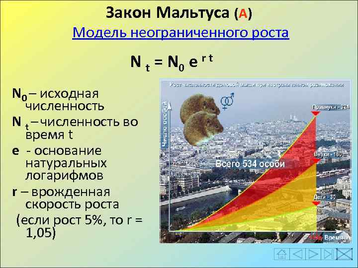 Закон Мальтуса (А) Модель неограниченного роста N t = N 0 e r t