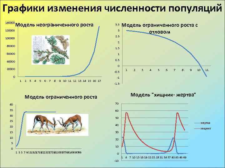 Вывод о темпах изменения численности. Модель неограниченного роста численности популяции. Динамика численности популяции задания. Численность популяции модель ограниченного роста. Модели ограниченного и неограниченного роста.