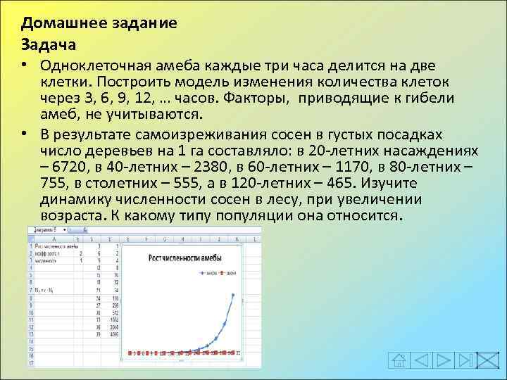 Домашнее задание Задача • Одноклеточная амеба каждые три часа делится на две клетки. Построить