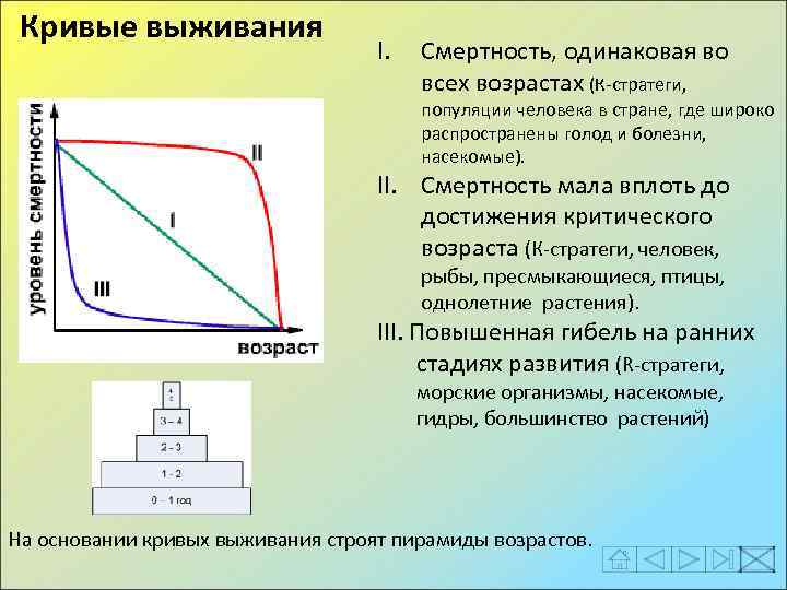Кривые выживания I. Смертность, одинаковая во всех возрастах (К-стратеги, популяции человека в стране, где