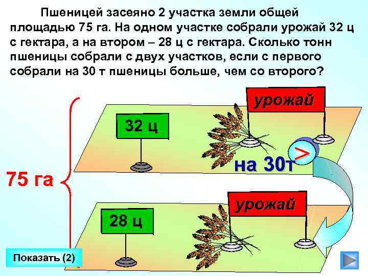 Пшеницей засеяно 2 участка земли общей площадью 75 га. На одном участке собрали урожай