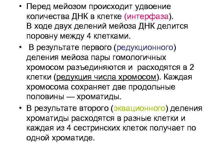  • Перед мейозом происходит удвоение количества ДНК в клетке (интерфаза). В ходе двух