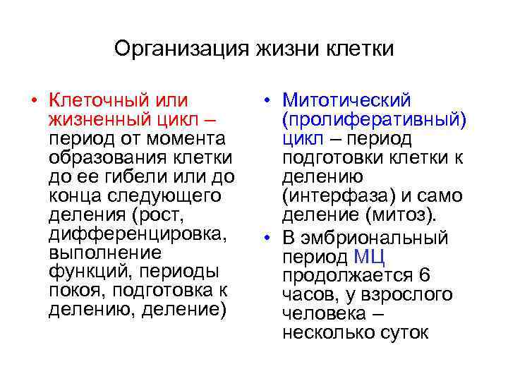 Организация жизни клетки • Клеточный или жизненный цикл – период от момента образования клетки