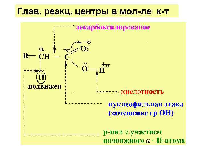 Глав. реакц. центры в мол-ле к-т 