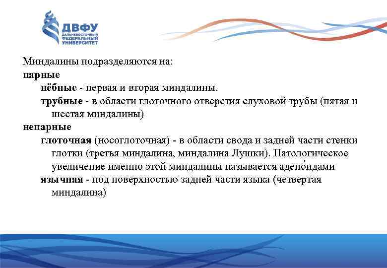 Миндалины подразделяются на: парные нёбные первая и вторая миндалины. трубные в области глоточного отверстия