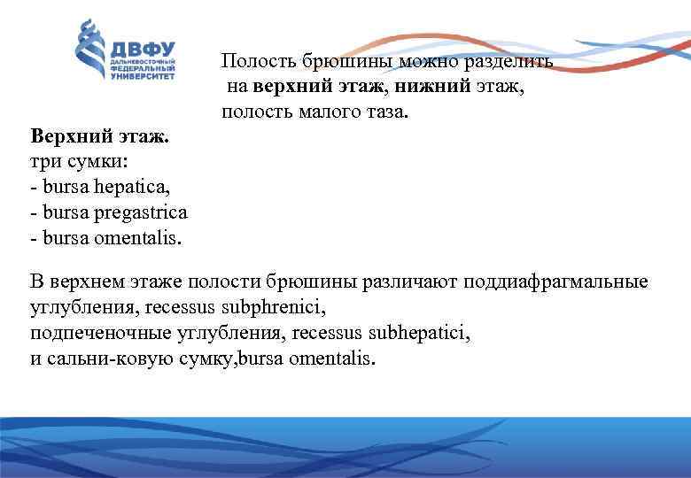 Полость брюшины можно разделить на верхний этаж, нижний этаж, полость малого таза. Верхний этаж.