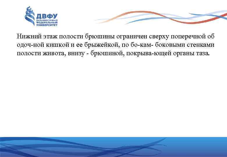 Нижний этаж полости брюшины ограничен сверху поперечной об одоч ной кишкой и ее брыжейкой,