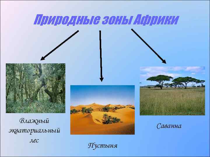 Природные зоны Африки Влажный экваториальный лес Саванна Пустыня 