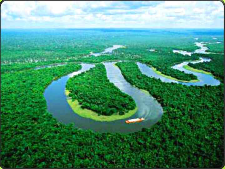 Амазонская низменность - самая большая низменность на Земле, S > 5 млн. км². 