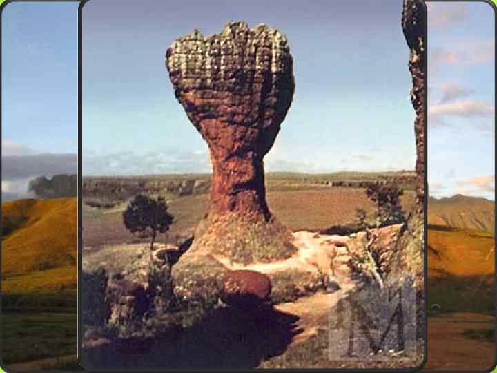 Гвианское плоскогорье - выступ докембрийского фундамента в северной части Южно-Американской платформы 