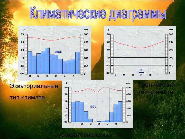 Экваториальный тип климата Субэкваториальный тип Тропический тип климата 