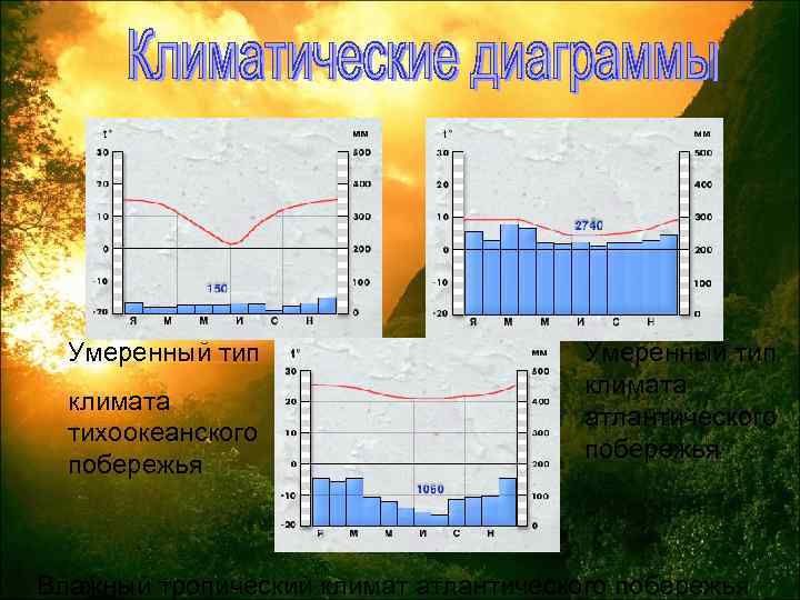 Умеренный тип климата тихоокеанского побережья Умеренный тип климата атлантического побережья Влажный тропический климат атлантического