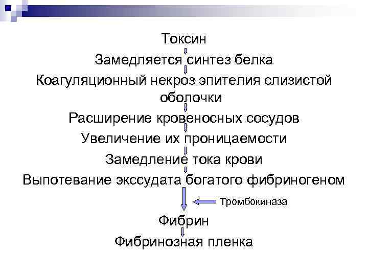 Токсин Замедляется синтез белка Коагуляционный некроз эпителия слизистой оболочки Расширение кровеносных сосудов Увеличение их