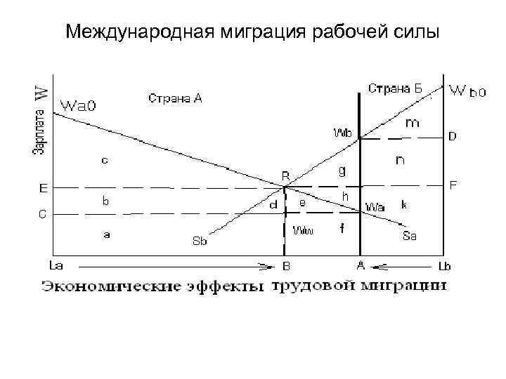 Международная миграция рабочей силы 