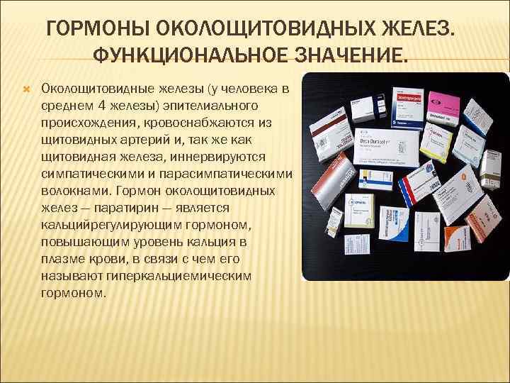 ГОРМОНЫ ОКОЛОЩИТОВИДНЫХ ЖЕЛЕЗ. ФУНКЦИОНАЛЬНОЕ ЗНАЧЕНИЕ. Околощитовидные железы (у человека в среднем 4 железы) эпителиального