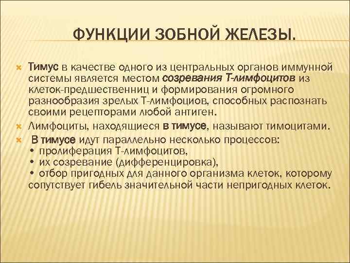 ФУНКЦИИ ЗОБНОЙ ЖЕЛЕЗЫ. Тимус в качестве одного из центральных органов иммунной системы является местом