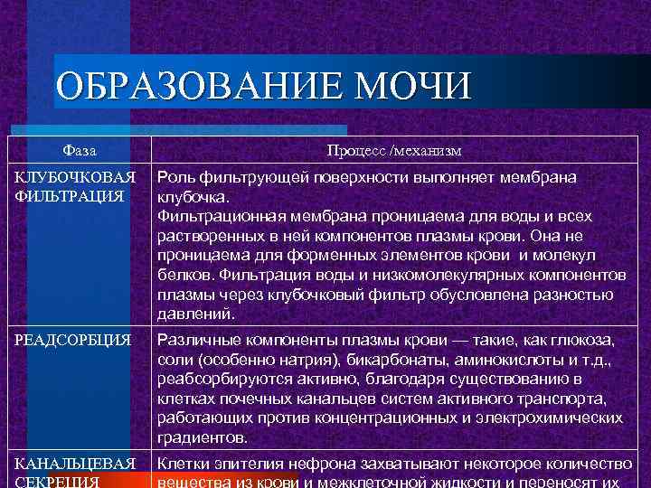 ОБРАЗОВАНИЕ МОЧИ Фаза Процесс /механизм КЛУБОЧКОВАЯ ФИЛЬТРАЦИЯ Роль фильтрующей поверхности выполняет мембрана клубочка. Фильтрационная