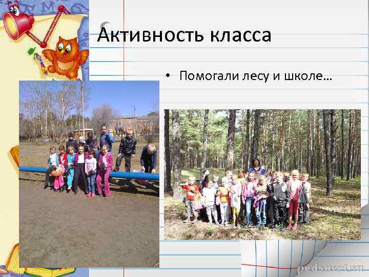 Активность класса • Помогали лесу и школе… 