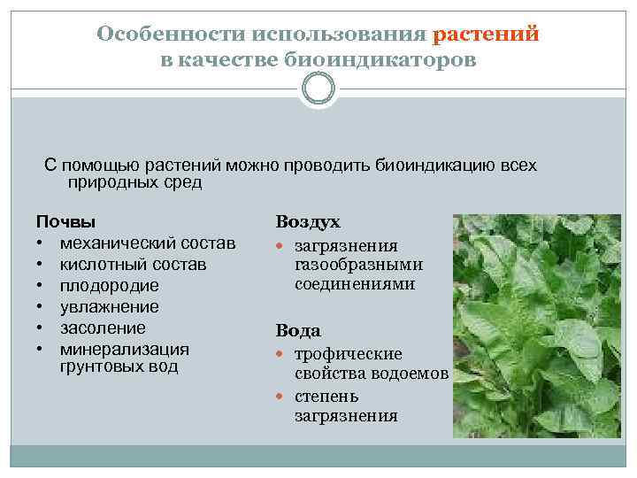 Особенности использования растений в качестве биоиндикаторов С помощью растений можно проводить биоиндикацию всех природных