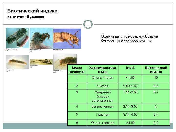 Биотический индекс по системе Вудивиса Оценивается биоразнообразие бентосных беспозвоночных Класс качества Характеристика воды Ind